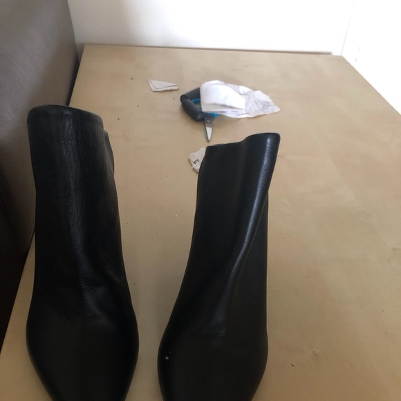 Vince - Picture 5 of 5